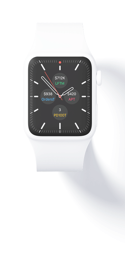 Watch Face Meridian